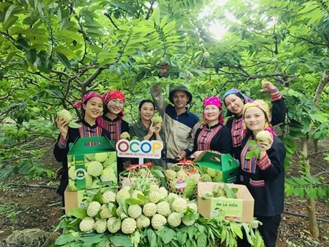 Quảng bá, nâng cao giá trị sản phẩm na và nông sản tỉnh Thái Nguyên