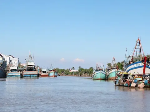 Vĩnh Long cấp bách triển khai các giải pháp tháo gỡ ‘thẻ vàng’ của EC