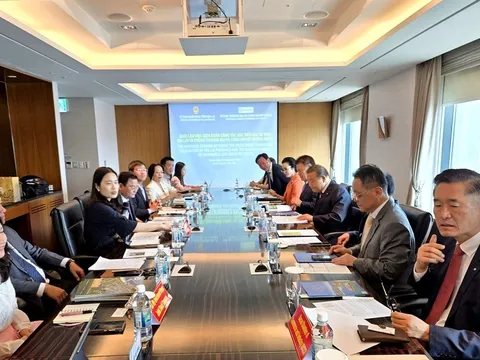 Cảng Phù Mỹ thu hút sự quan tâm của đối tác Hàn Quốc