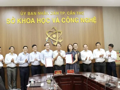 Cần Thơ đẩy mạnh hợp tác về ứng dụng và phát triển trí tuệ nhân tạo