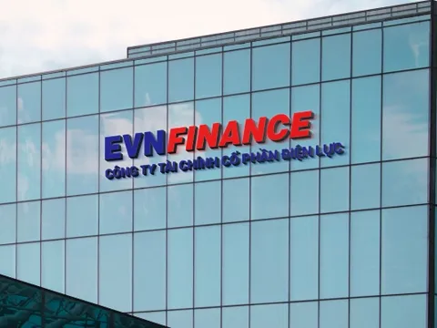 Thanh tra ngân hàng chỉ nhiều tồn tại của lãnh đạo EVN Finance