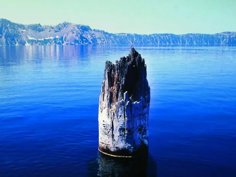 Khúc gỗ huyền bí trên hồ Crater: 450 năm tuổi, 120 năm không chìm, ẩn chứa sức mạnh thời tiết?