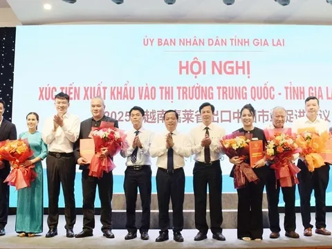 Công nghệ mở đường cho nông sản Gia Lai vào Trung Quốc