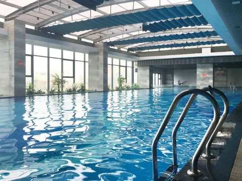 Bí ẩn màu xanh trong bể bơi: Sự kết hợp giữa thiên nhiên và bàn tay con người