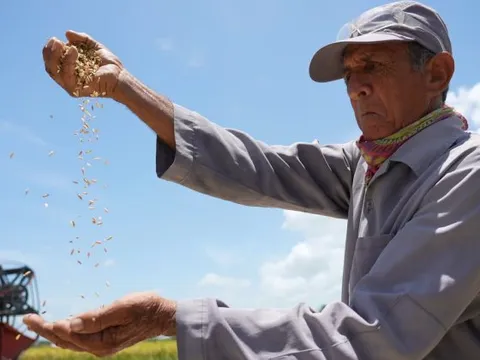 'Hạt giống hạnh phúc' - Phim tài liệu đặc biệt về tình hữu nghị Việt Nam và Cuba
