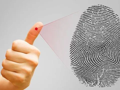 Bí mật về sự hình thành và công dụng của vân tay
