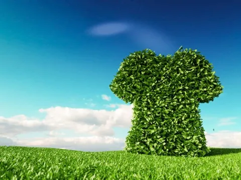 Thời trang sơ sinh chuẩn xanh 'ghi điểm' lợi thế cạnh tranh