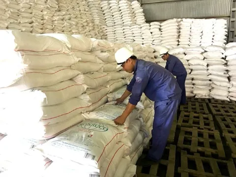 Ngành mía đường gặp khó, Thủ tướng chỉ đạo hỗ trợ doanh nghiệp