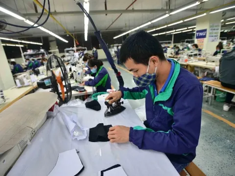 ACCA hỗ trợ doanh nghiệp Việt gỡ vướng về thuế