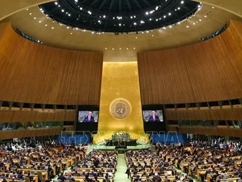 Liên hợp quốc thành lập Hội đồng khoa học quốc tế về AI