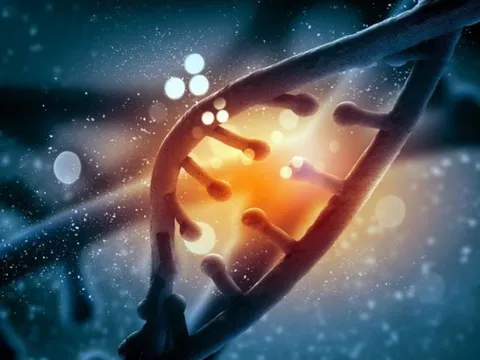 Phát hiện DNA bí ẩn từ loài người tuyệt chủng hàng ngàn năm trước
