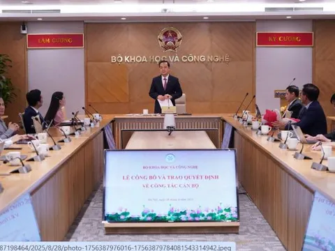 Cục Chuyển đổi số quốc gia có quyền Cục trưởng mới