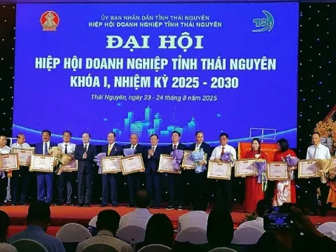 Hiệp hội Doanh nghiệp Thái Nguyên đồng hành cùng doanh nghiệp hội nhập, phát triển