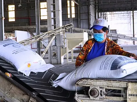 Cần Thơ phấn đấu thành lập thêm 40-60 doanh nghiệp khoa học và công nghệ