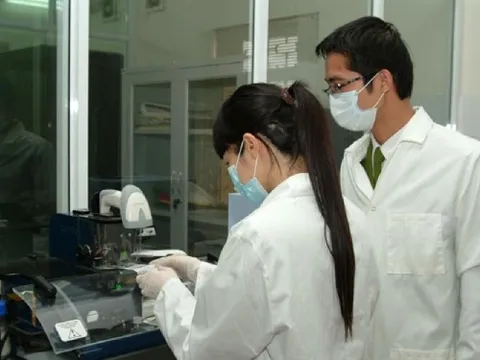 Vì sao VCCI kiến nghị giữ nguyên danh mục ngành, nghề có điều kiện tại cấp luật?