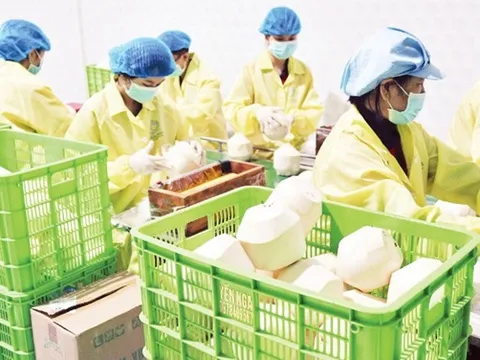 Chuyển hướng thị trường xuất khẩu nông sản