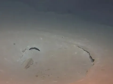 Tàu ngầm Trung Quốc phát hiện nơi chứa bí mật sự sống ở đáy Thái Bình Dương