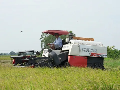 Vĩnh Long yêu cầu doanh nghiệp xuất khẩu tăng cường thu mua, tạm trữ lúa gạo