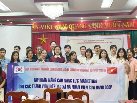 Thái Nguyên tổ chức tập huấn nâng cao năng lực marketing cho hợp tác xã và chủ thể OCOP
