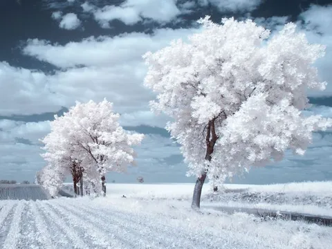 Vì sao tuyết lại có màu trắng?