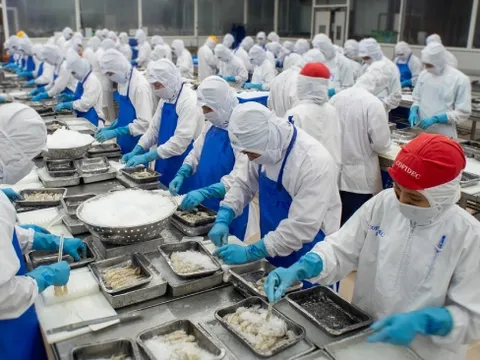 Để doanh nghiệp không còn nỗi lo bị 'hình sự hóa'

