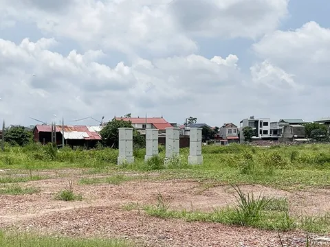 Bắc Ninh triển khai 90 ngày thực hiện chiến dịch làm sạch, làm giàu cơ sở dữ liệu đất đai