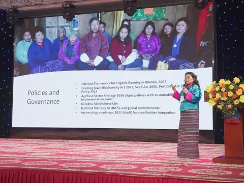 Phát triển nông nghiệp hữu cơ nhìn từ các quốc gia trên thế giới