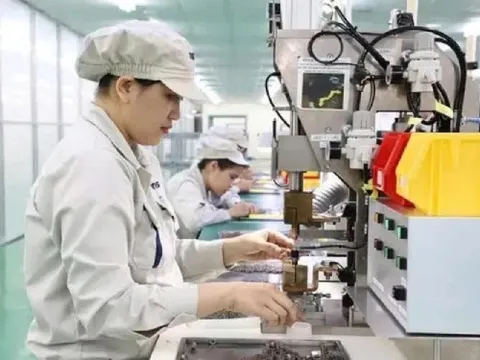 Dự thảo Luật Đầu tư kinh doanh: Lo ngại 'phình' giấy phép con