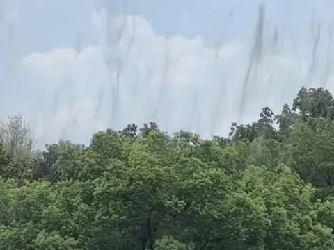 Kỳ lạ hiện tượng cây 'bốc khói' ở Hàng Châu, Trung Quốc