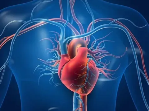 Tim có thực sự ‘miễn nhiễm’ với ung thư?