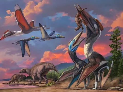 Hé lộ bức màn bí ẩn về hai 'quái vật bay' bí ẩn của sa mạc Gobi