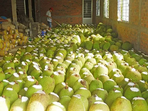 Nhiều loại trái cây miền Tây 'quay đầu' tăng giá
