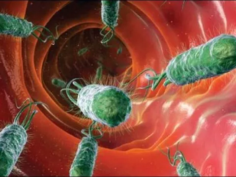 Nguyên nhân gây bệnh ung thư đáng sợ nhất có thể nằm trong miệng