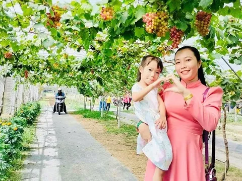 Vĩnh Long: Đánh thức du lịch vùng Đông sông Hậu