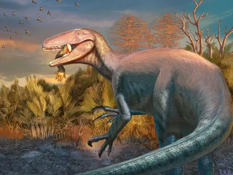 'Bạo chúa phương Nam' dài hơn 7 mét chính thức lộ diện