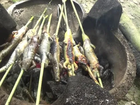 Từ món ăn kinh dị nay thành đặc sản, loài 'rắn 4 chân' miền Tây hút khách sành ăn