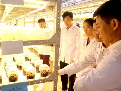 Doanh nghiệp cần đẩy mạnh ứng dụng khoa học công nghệ tăng sức cạnh tranh