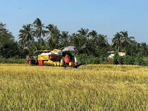 Cà Mau: Thúc đẩy liên kết chuỗi giá trị, chuyển đổi tư duy làm nông nghiệp