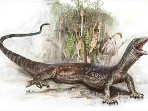 Lộ diện 'quái vật' 167 triệu năm tuổi, bí ẩn tiến hóa nửa rắn, nửa thằn lằn trên đảo Skye