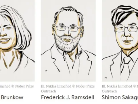 Giải Nobel Y Sinh 2025 mở ra kỷ nguyên mới cho ngành Miễn dịch học