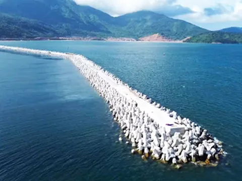 3 liên danh đấu thầu xây dựng cảng container Liên Chiểu