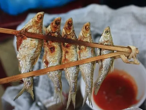 Loài cá nhỏ từng là ‘món ăn của người nghèo’ ở Sơn La, nay lên bàn tiệc sang trọng giá hàng trăm nghìn đồng/kg