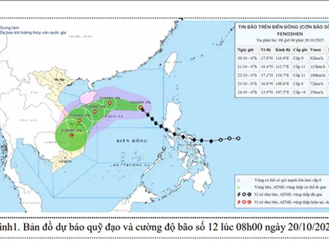 Đà Nẵng khuyến cáo người dân tích trữ thực phẩm ứng phó bão số 12