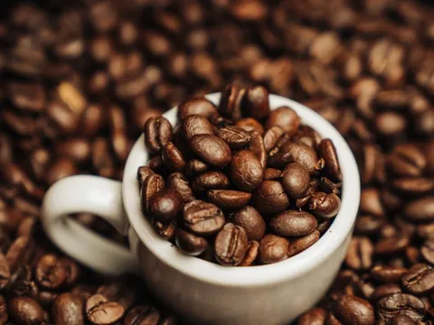 Giá nông sản ngày 23/10/2025: Cà phê tăng mạnh, hồ tiêu giữ ổn định