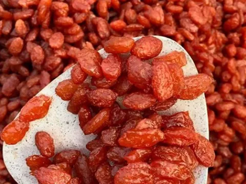 Bất ngờ loại quả trước chỉ ‘vứt đi’, nay thành đặc sản giá 200.000 đồng/kg