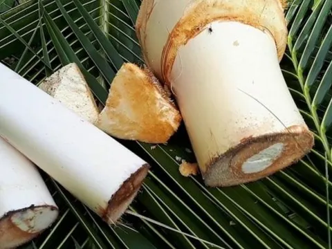 Từ món ăn dân dã tới đặc sản bán giá hàng triệu đồng/kg