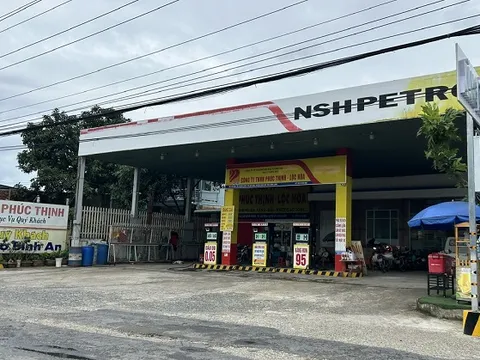 Cựu phó tổng giám đốc phụ trách tài chính NSH Petro bị bắt